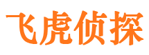 带岭寻人公司